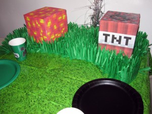 Minecraft Party