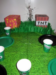 Minecraft Party Grass Tablecloth & Grass Decoration