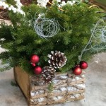 Christmas Planters Made From Christmas Tree Clippings